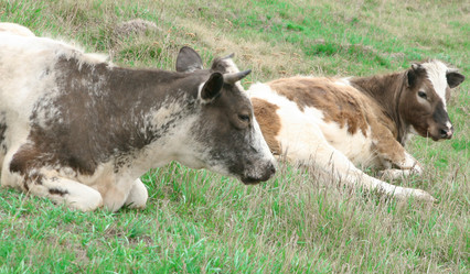 Similar image 631068