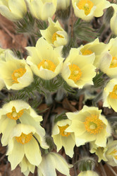 Similar image 631072