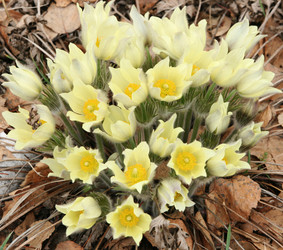 Similar image 631073