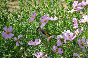 Similar image 631165