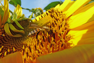 Similar image 631196