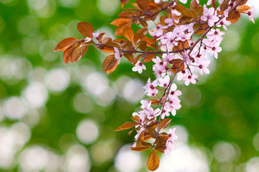 Similar image 631251