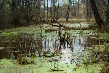 Similar image 631259