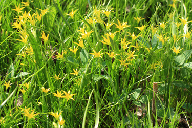 Similar image 631261