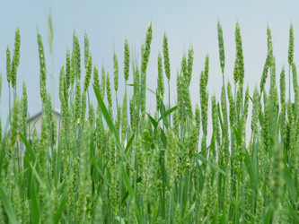 Similar image 631283