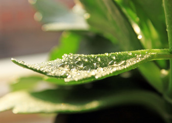 Similar image 631336