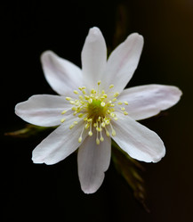 Similar image 631344