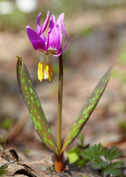 Similar image 631347