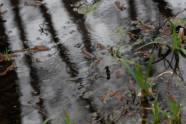 Similar image 631349