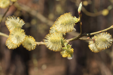 Similar image 631374