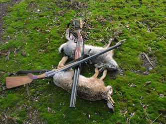 Similar image 631468