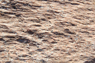 Similar image 631480