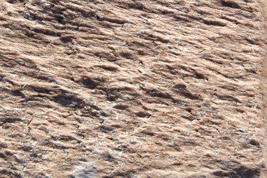 Similar image 631481