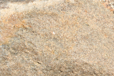 Similar image 631483