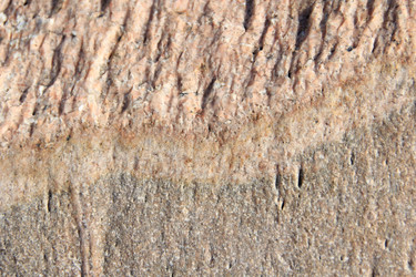 Similar image 631485