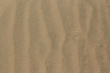 Similar image 631500