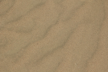 Similar image 631501