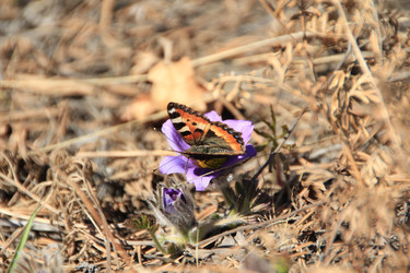 Similar image 631517