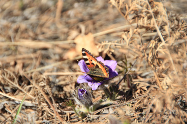 Similar image 631519