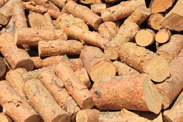 Similar image 631564