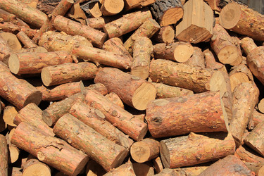 Similar image 631566