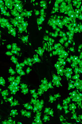 Similar image 631598