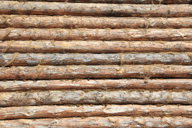 Similar image 631599