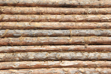 Similar image 631600