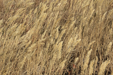 Similar image 631606