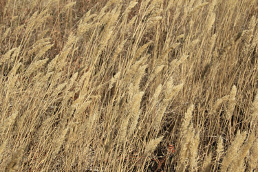 Similar image 631607