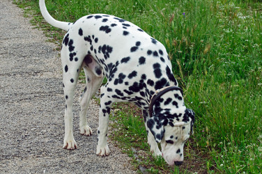 Similar image 631644