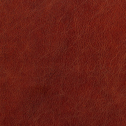 Similar image 631654