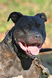 Similar image 631818