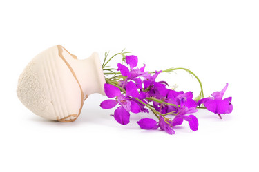 Similar image 631828