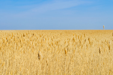 Similar image 631853