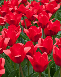 Similar image 631860