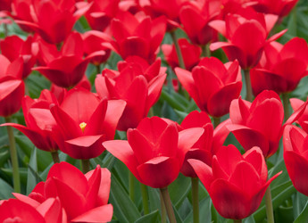 Similar image 631861