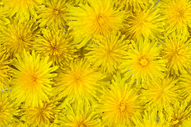 Similar image 631883