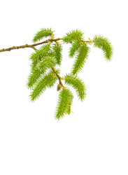 Similar image 631913