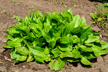 Similar image 631925