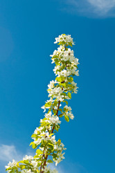 Similar image 631931