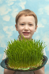 Similar image 631943