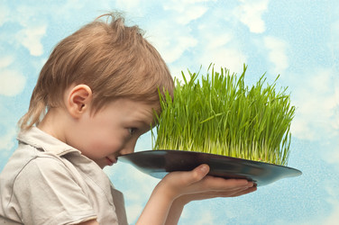 Similar image 631944