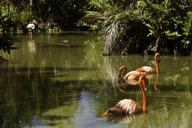 Similar image 631992