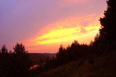 Similar image 631993