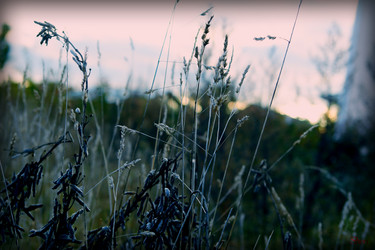 Similar image 631996