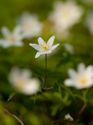 Similar image 632031