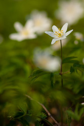 Similar image 632034