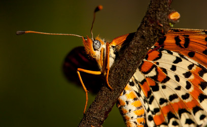 Similar image 632057