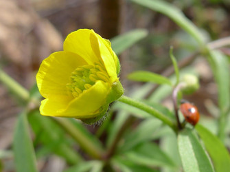 Similar image 632086